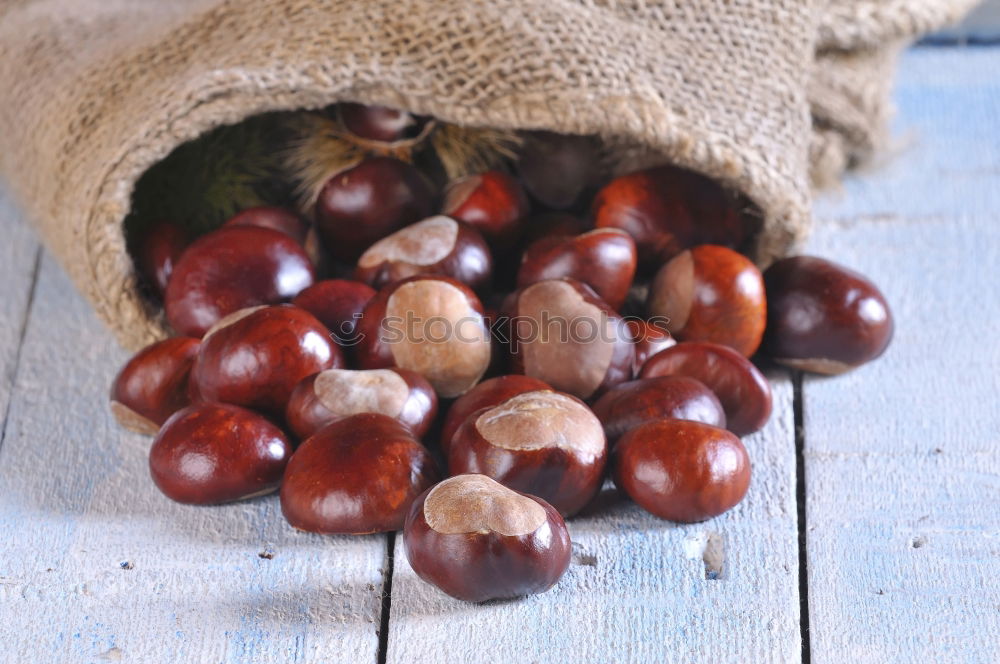 Similar – Image, Stock Photo Raw quail eggs Eating