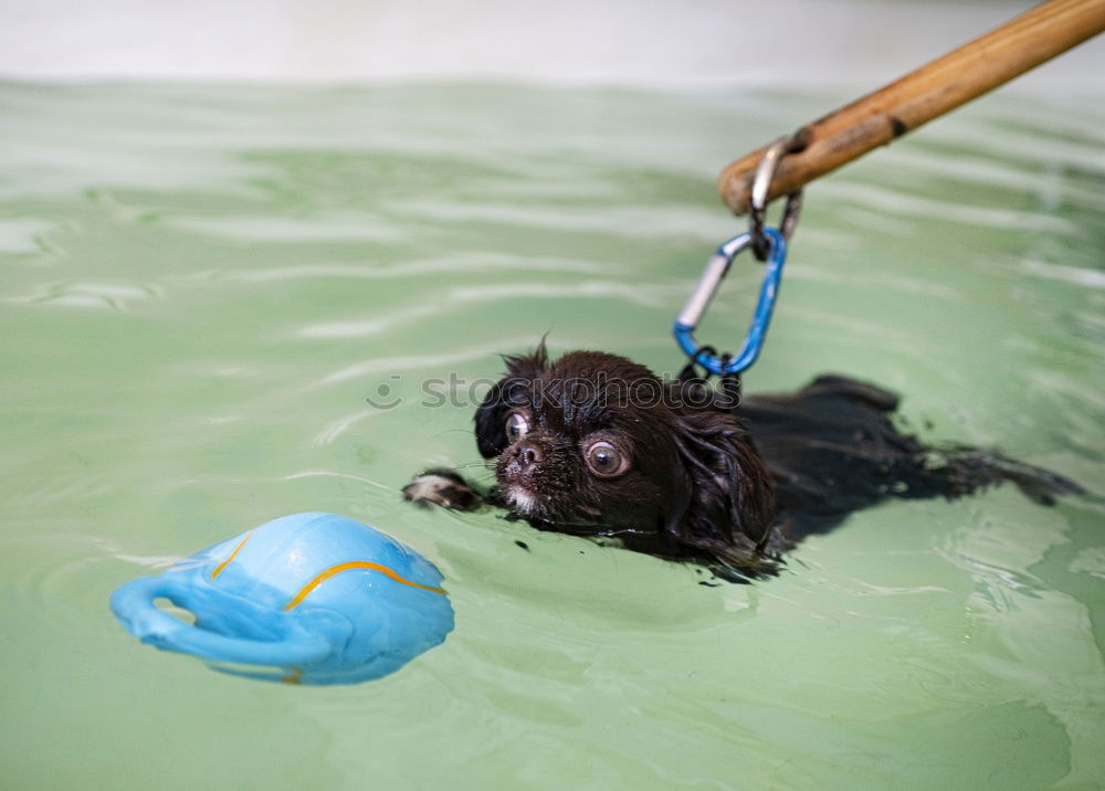 Similar – Life jacket testing.