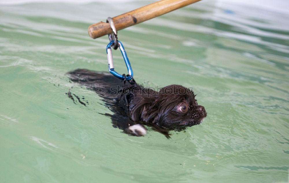 Similar – Life jacket testing.