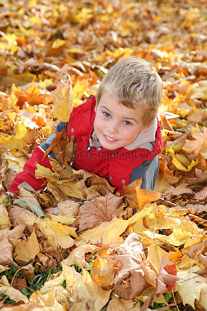 Similar – cheerful Playing Child