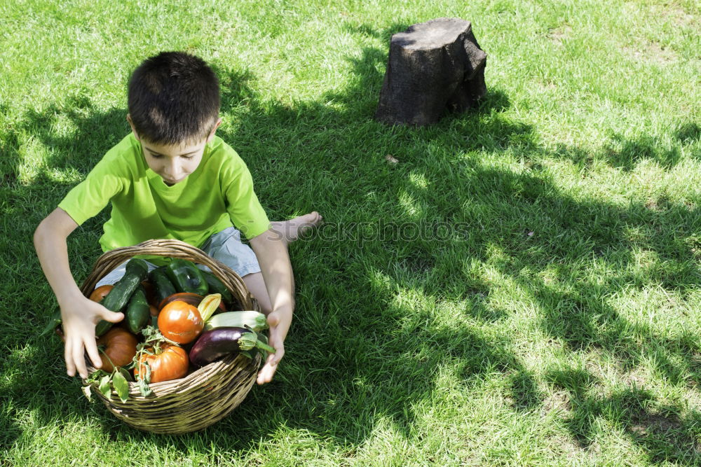 Similar – Image, Stock Photo Closeup of children putting fresh organic apples inside of wicker basket with fruit harvest