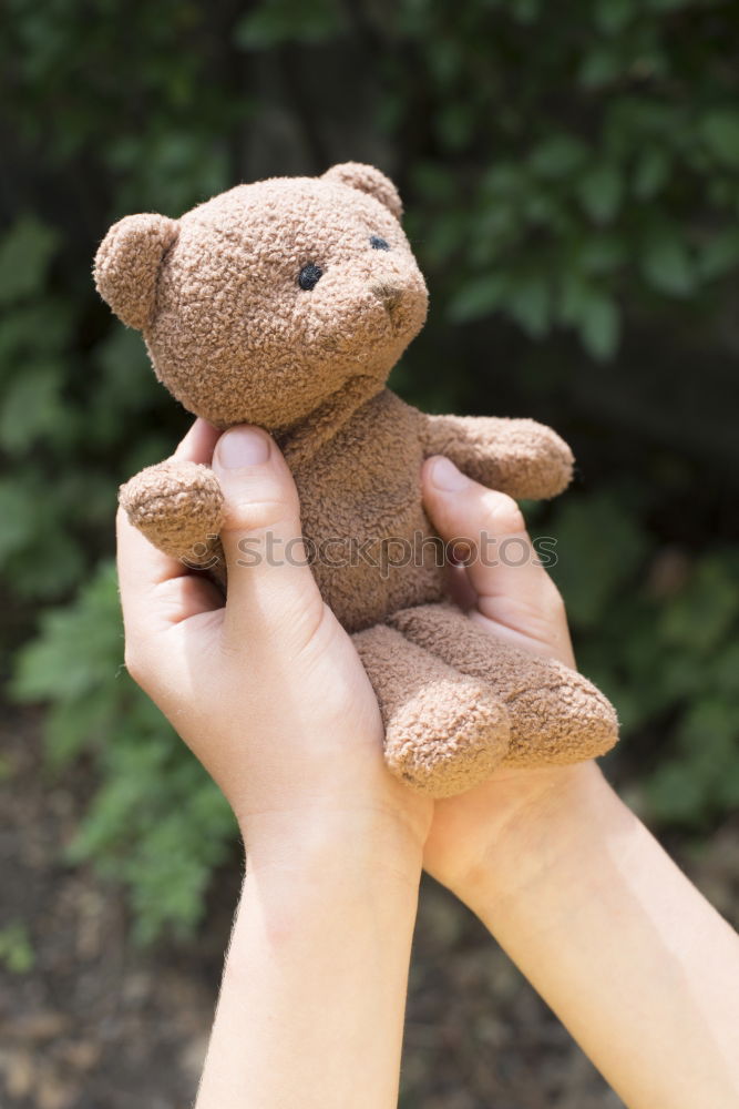 Similar – Image, Stock Photo Child hold teddy Playing