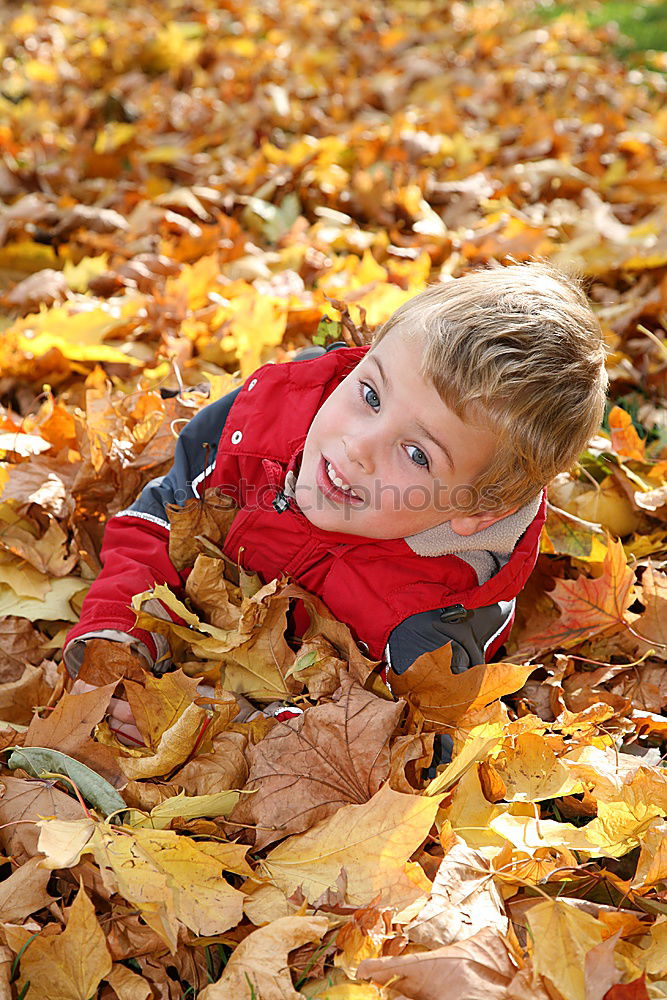 Similar – cheerful Playing Child