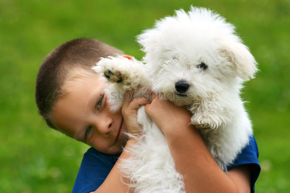 Similar – Latin child with his dog