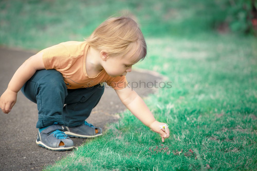 Similar – Child collects chestnuts