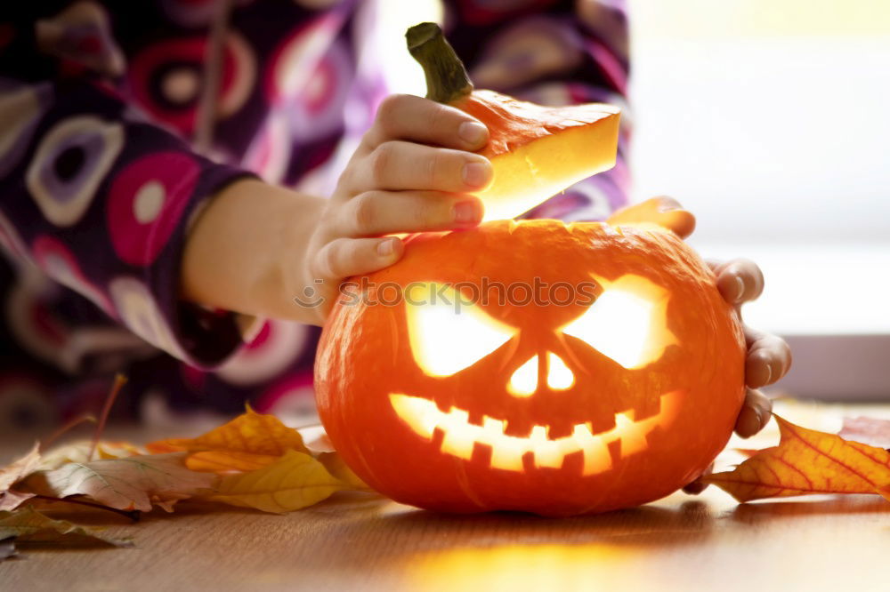 Similar – Image, Stock Photo Little girl holding a pumpkin in her hands, on Halloween.