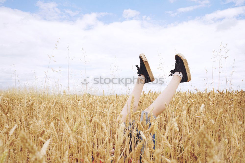 Similar – Hand holding a cowboy hat over a field of wheat