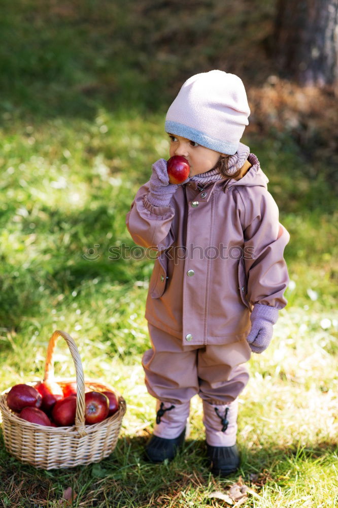 apple Fruit Apple