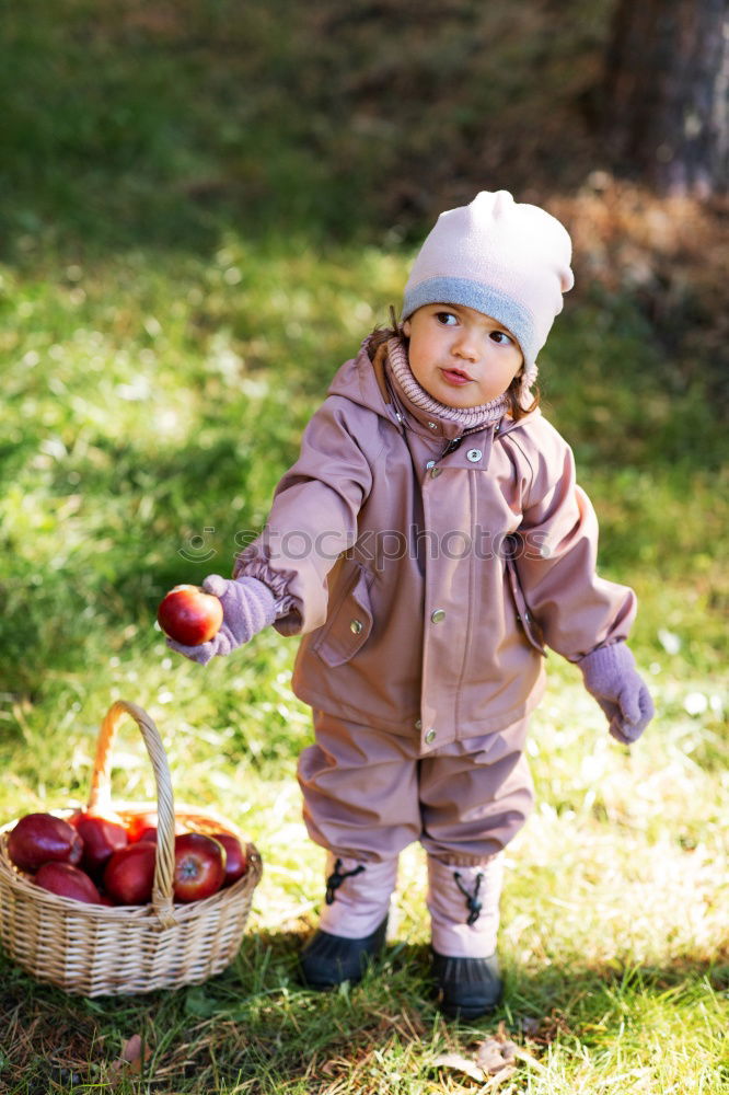 Similar – apple Fruit Apple