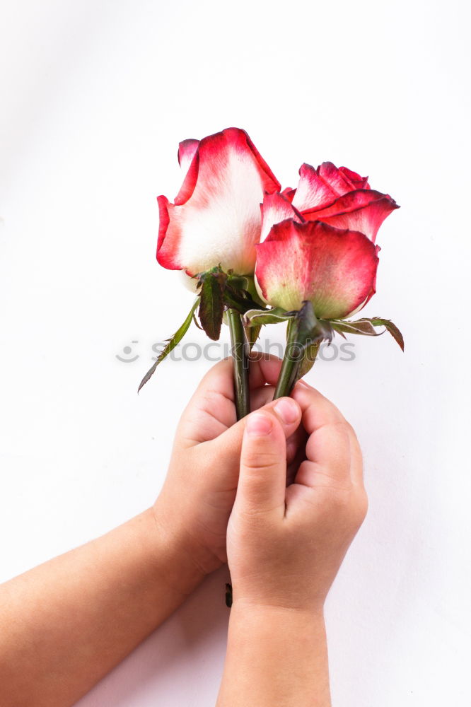 Similar – Image, Stock Photo Young man with red flowers