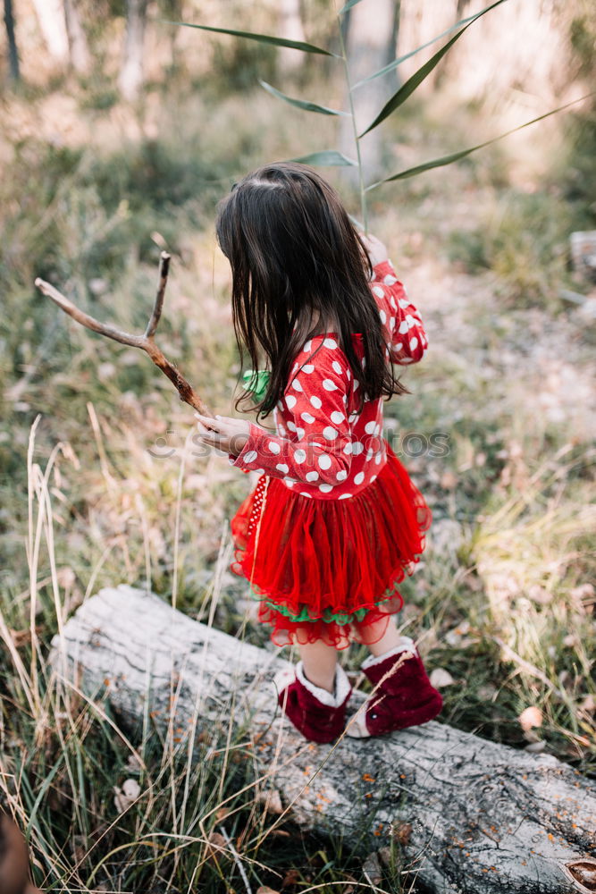 Similar – Image, Stock Photo Cheerful kid in costume posing on tree