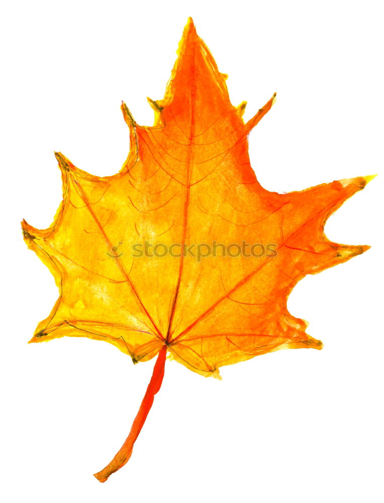 Similar – Image, Stock Photo one yellow dry leaf of a maple on a red background