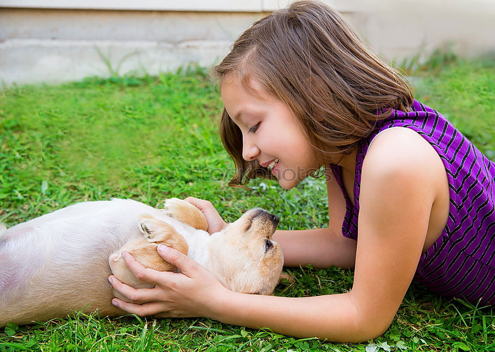 Similar – Image, Stock Photo Little girl looking a goat on the grass