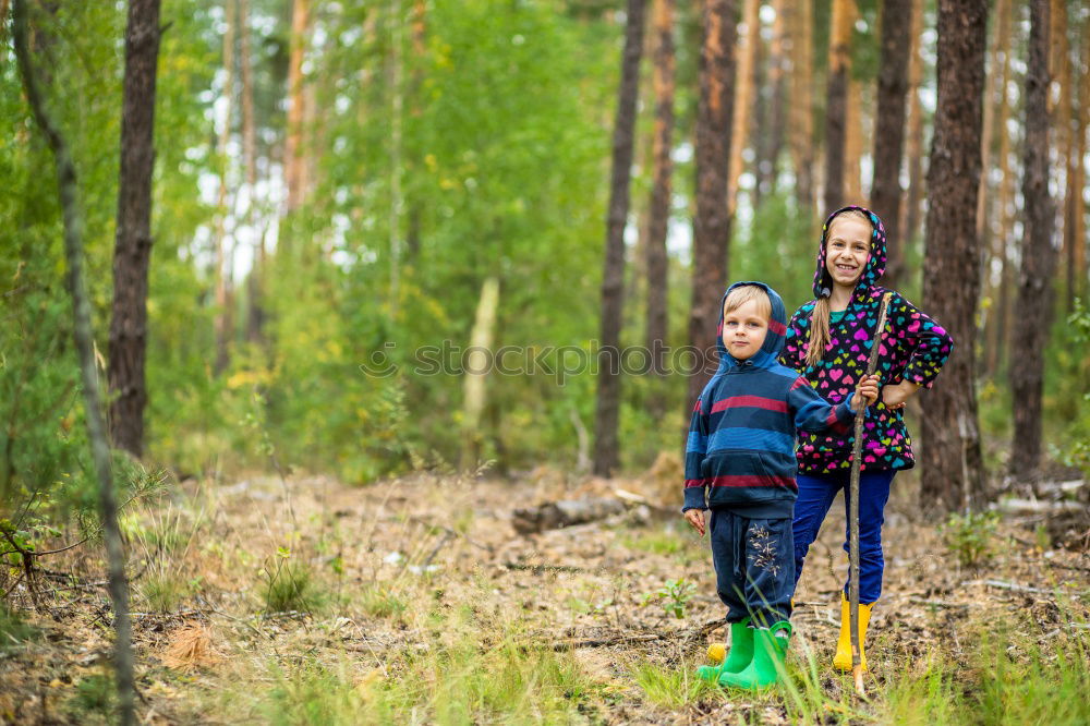 Similar – Image, Stock Photo Autumn in Lüneburger Heide