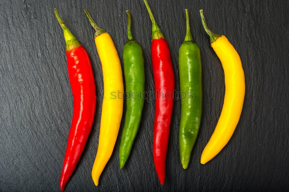 Similar – 3 chilli Art Work of art