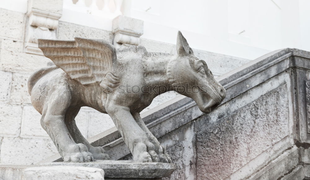 Similar – Stone Fury Horse Paris