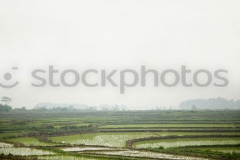 Similar – Image, Stock Photo ser un campo muy amplio