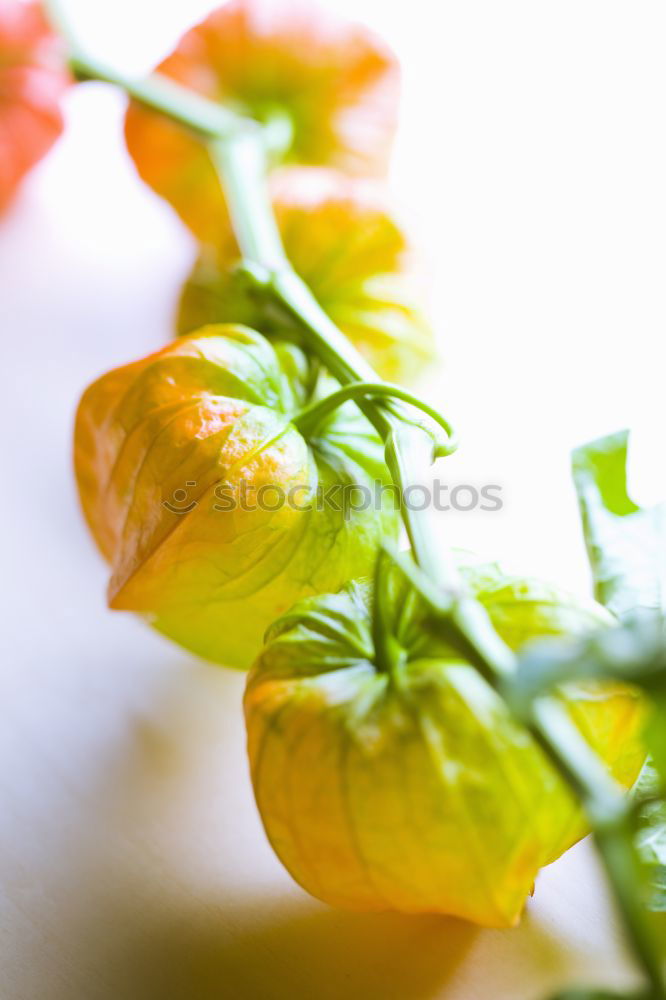 Similar – Image, Stock Photo SOUR MAKES FUN Fruit