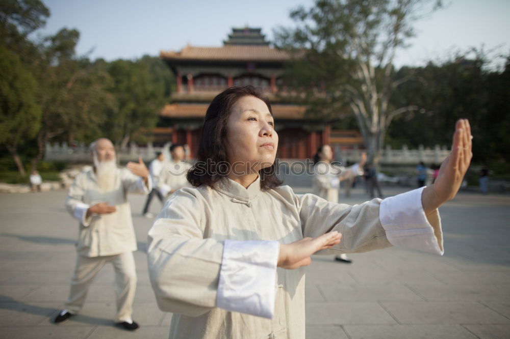 Similar – Image, Stock Photo in front of the pagoda 4/5