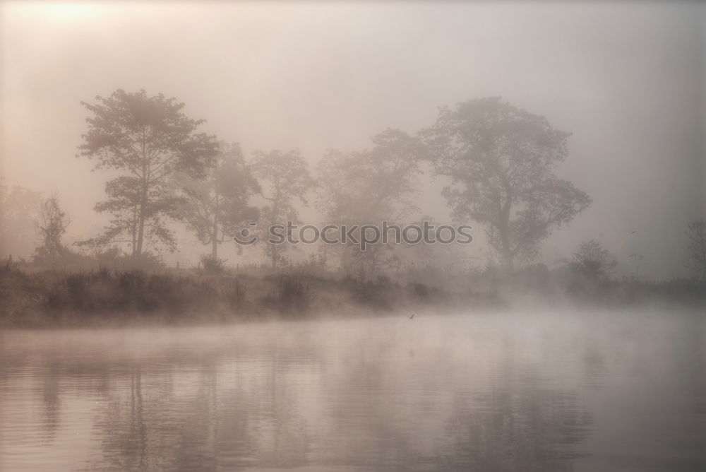 Image, Stock Photo autumn fog Environment