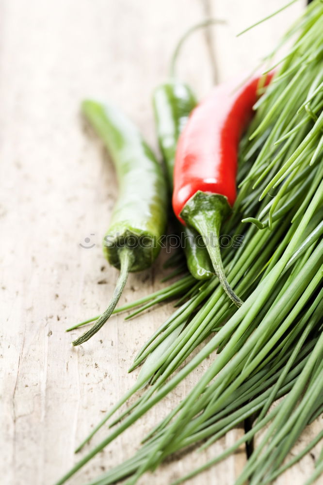 Similar – Rosemary, chopped chili and salt, wood background