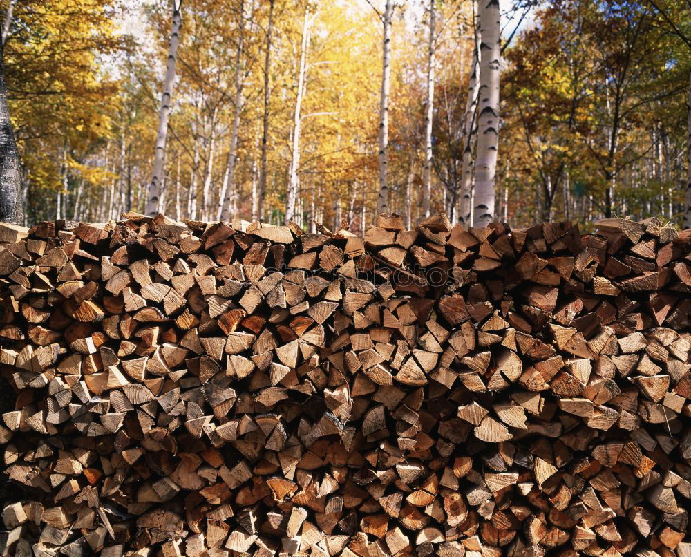 Similar – Image, Stock Photo Quite a lot of wood in front of the hut