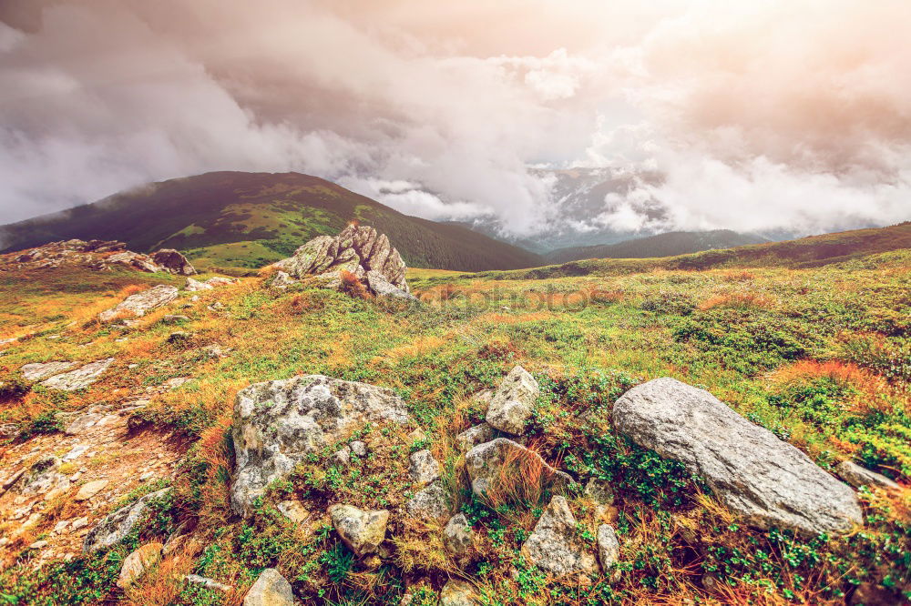 Similar – Image, Stock Photo Top Nature Landscape Sky