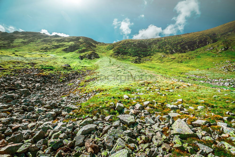 Similar – Image, Stock Photo doubts about the view