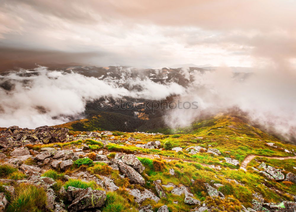 Similar – Hiking | Pitztal Alps | Venet Summit