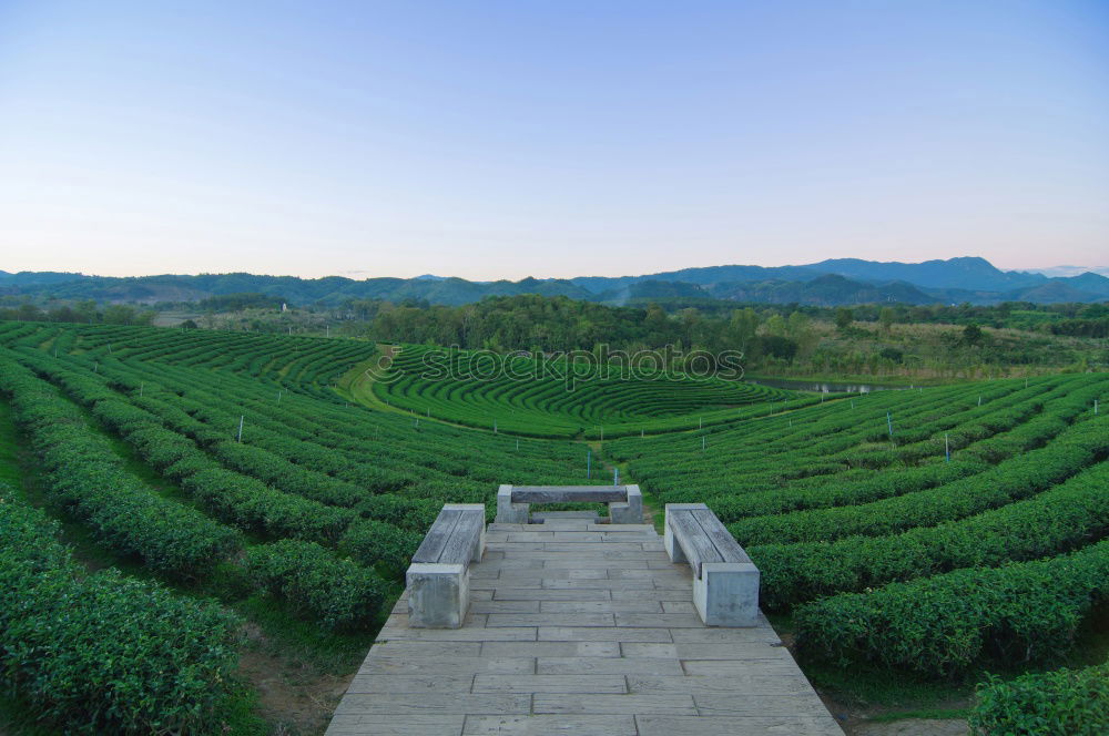 Similar – Neretva Delta in Kroatien