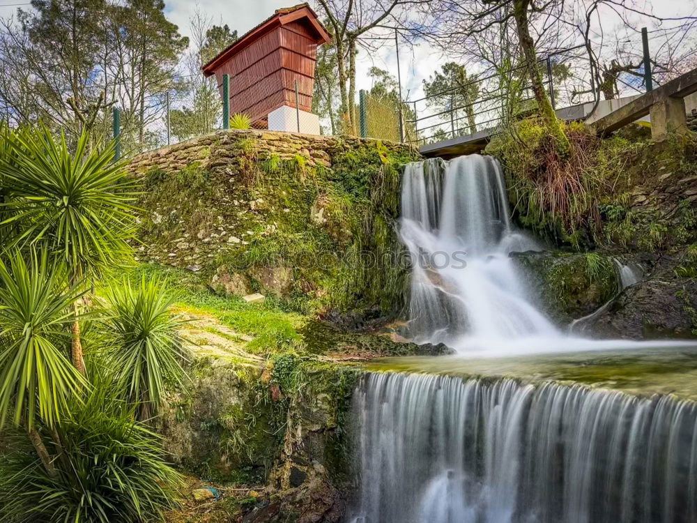 Similar – Image, Stock Photo duck castle Landscape