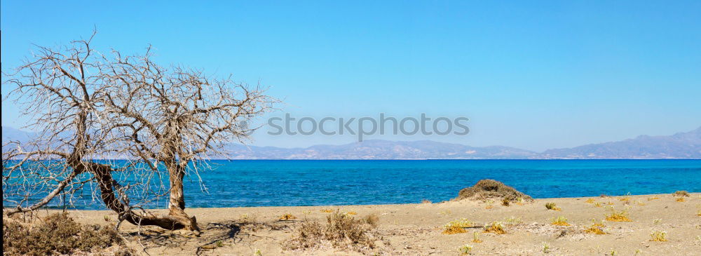 Image, Stock Photo Single Relaxation