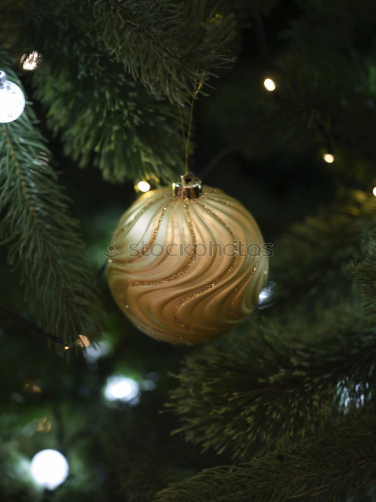 Similar – a matt golden Christmas bauble hangs from the branch of a Christmas tree