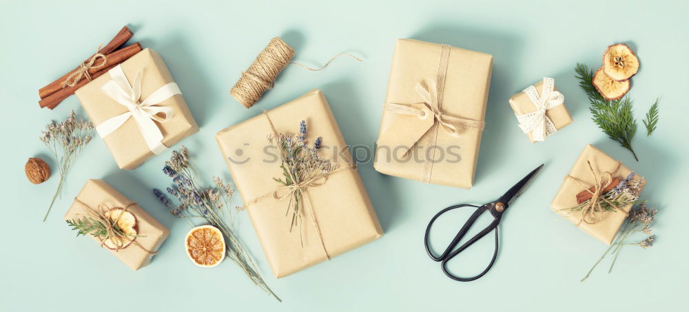 Similar – Image, Stock Photo Female hands make autumn bouquet of flowers