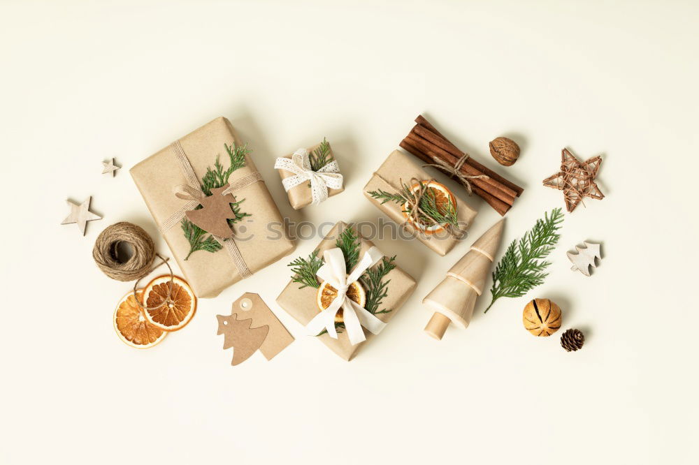 Similar – Image, Stock Photo herbarium Elegant Style