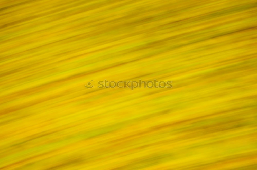 Similar – Image, Stock Photo plant Propagation Plant