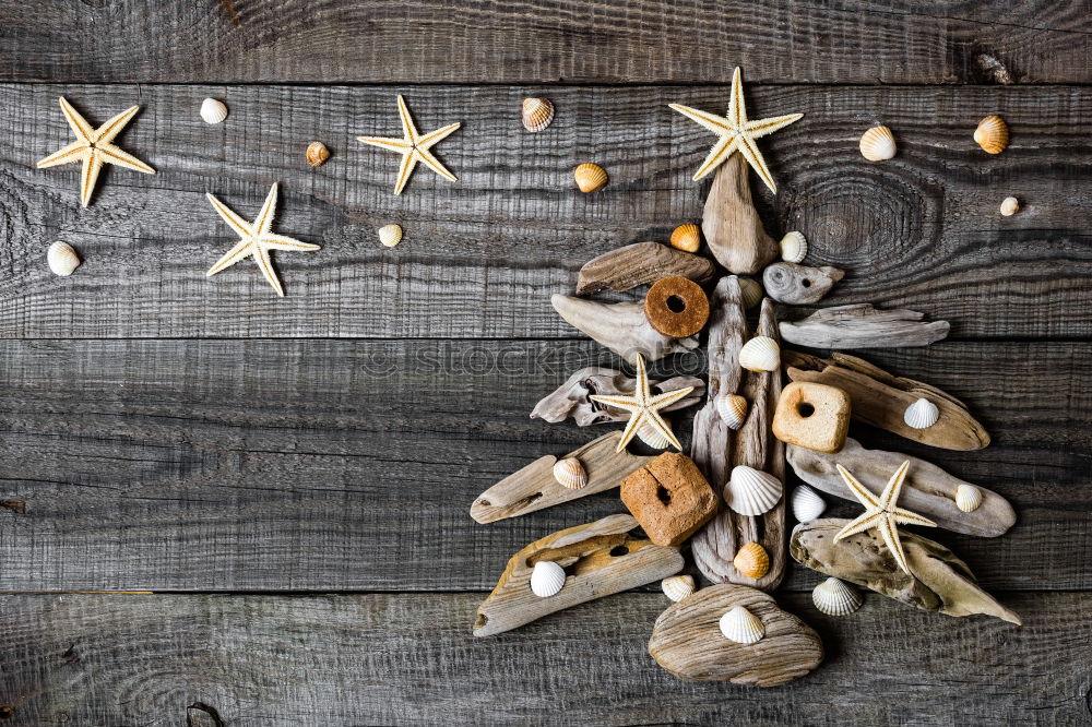 Similar – Image, Stock Photo nutcracker: a hammer that opens nuts, plus three cinnamon stars