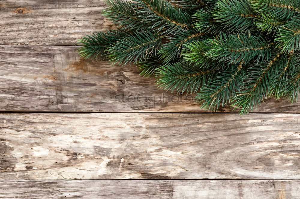 Similar – Image, Stock Photo Christmas garland of spruce branches, felt snowflakes