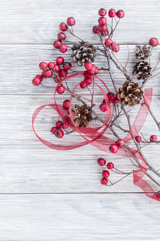 Similar – Image, Stock Photo The Red Berries Fruit