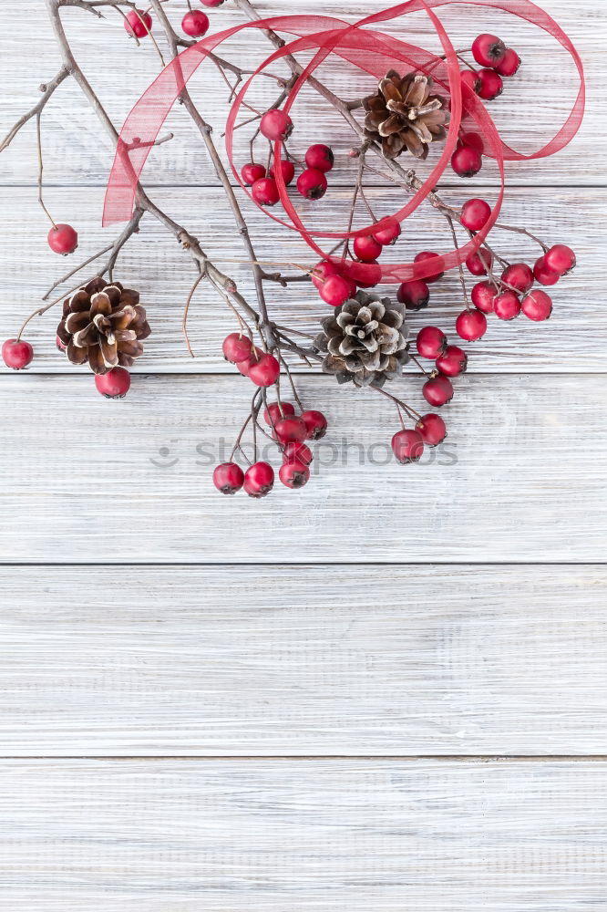 Similar – Image, Stock Photo Four friends. Food