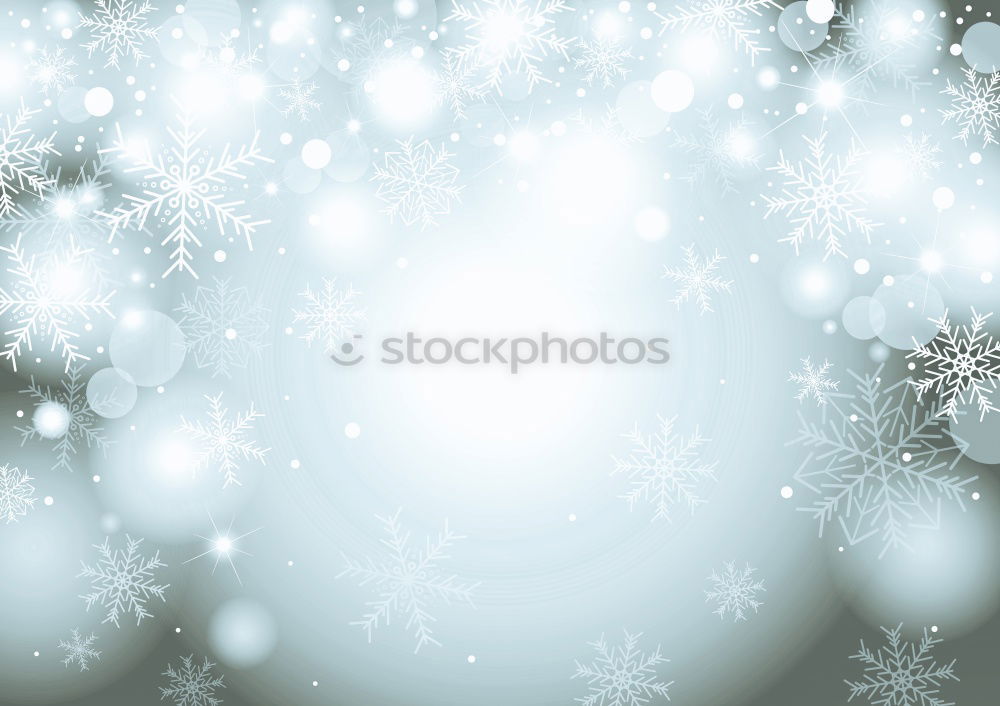 Similar – Winter nature background with fir branches