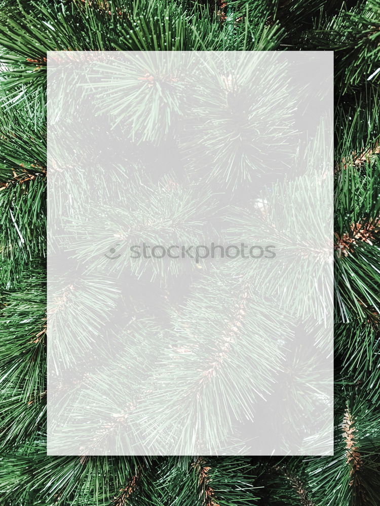 Similar – Image, Stock Photo Yesterday’s Christmas tree