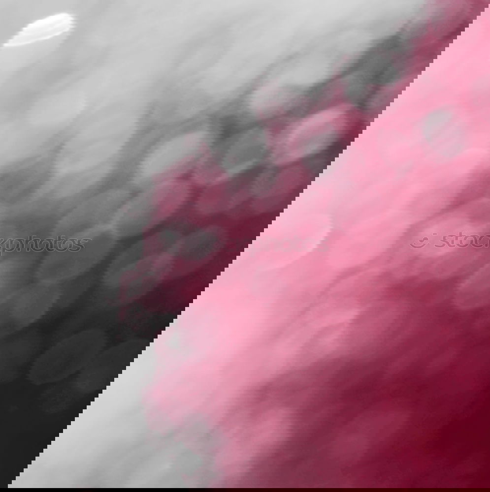 Similar – Image, Stock Photo AKCGDR# Christmas 3 Art