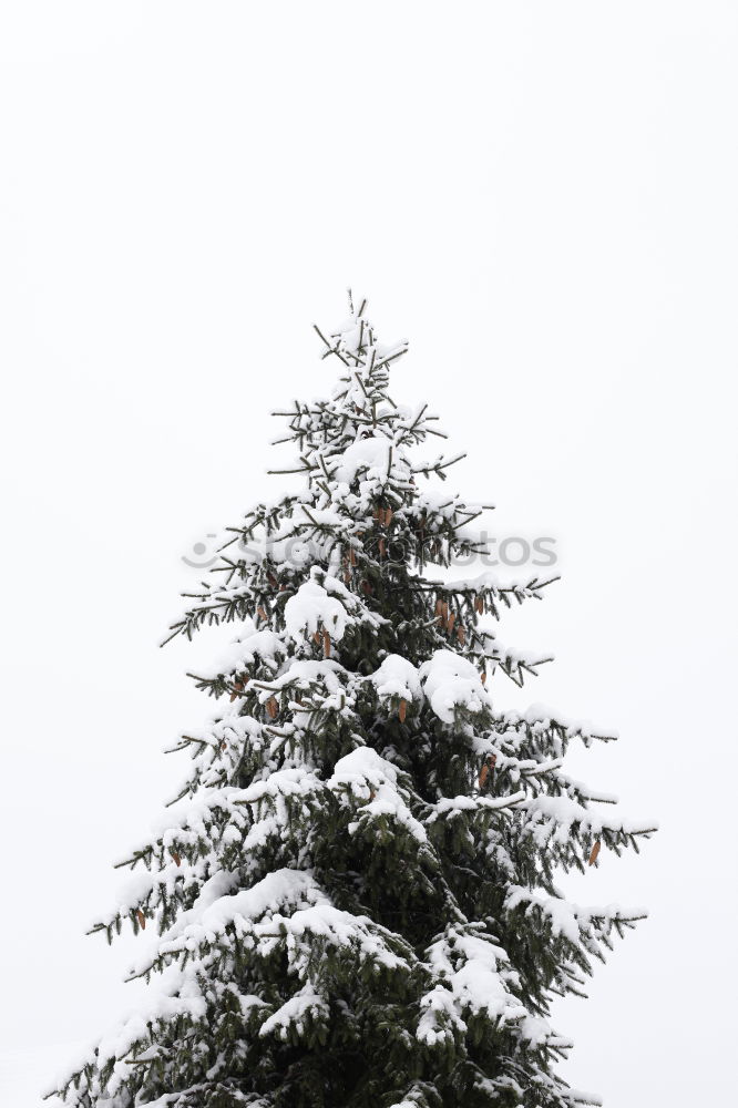 Similar – Image, Stock Photo winter top Exterior shot