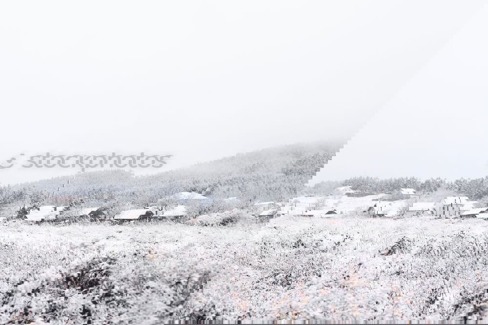 Similar – Image, Stock Photo Father Frost XIV Winter