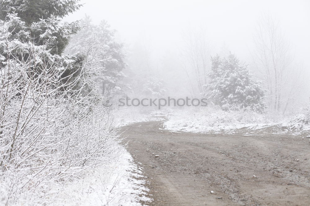 Similar – Foto Bild SCHILD Umwelt Natur Wolken