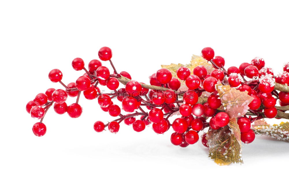 Similar – Image, Stock Photo The Red Berries Fruit