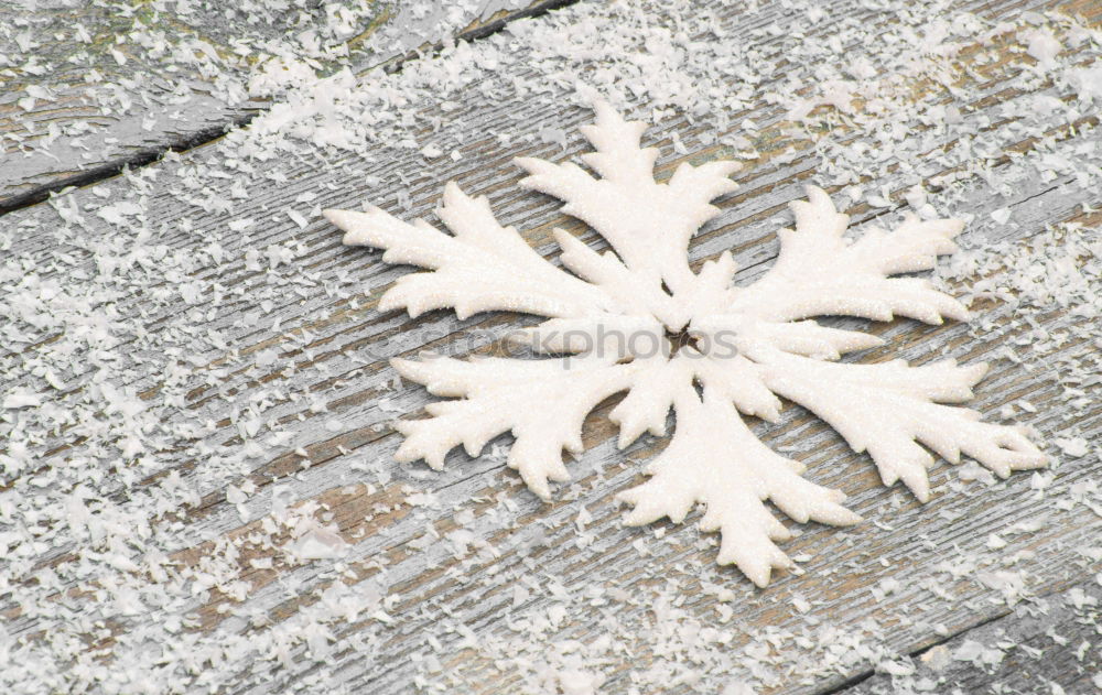 Similar – Image, Stock Photo A very special leaf