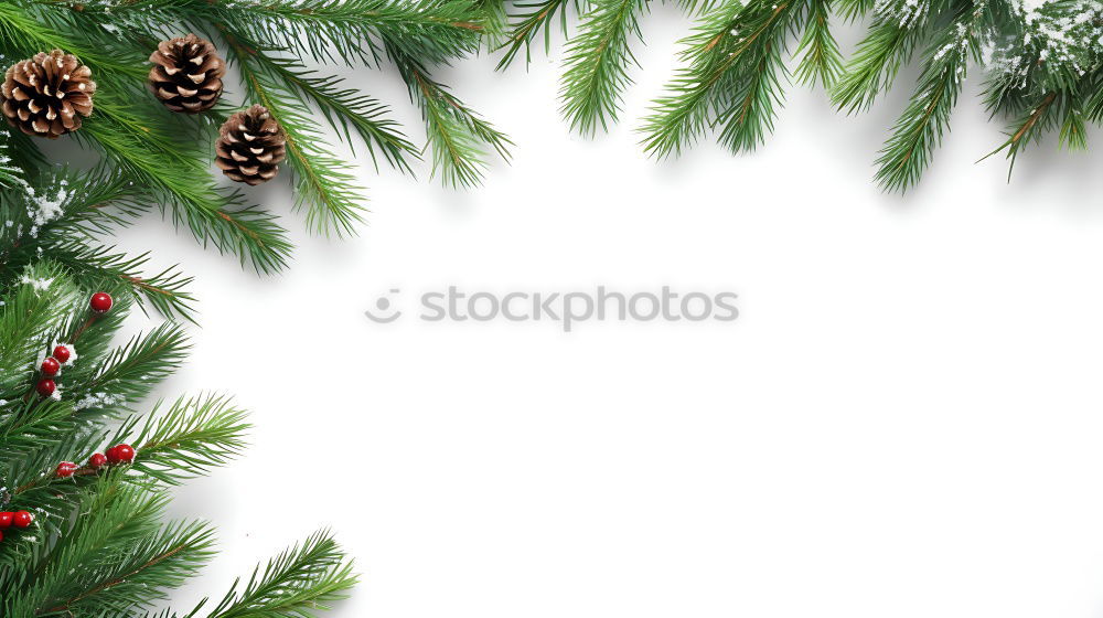 Similar – Oh Tannenbaum Natur Baum