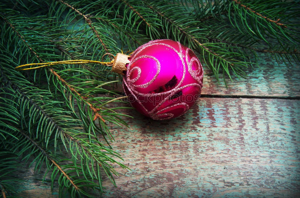 Similar – Image, Stock Photo Knutsdagen Christmas tree